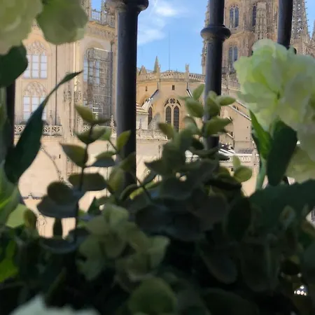 Apartament Mirada A La Catedral-apartamentos Catedral Burgo