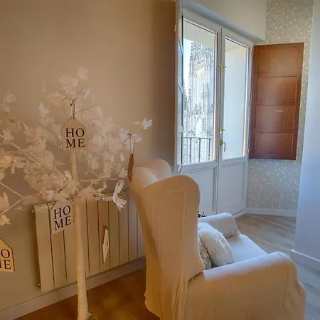 Mirada A La Catedral-apartamentos Catedral * Burgo