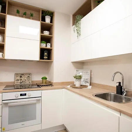 Mirada A La Catedral-apartamentos Catedral * Burgo