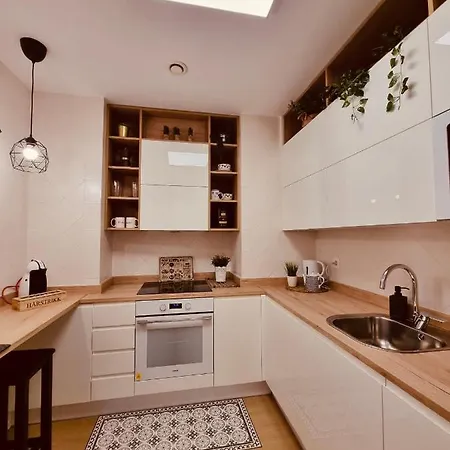 Mirada A La Catedral-apartamentos Catedral Apartament Burgo