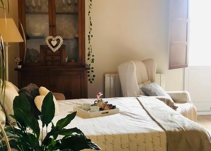 Mirada A La Catedral-apartamentos Catedral Burgos