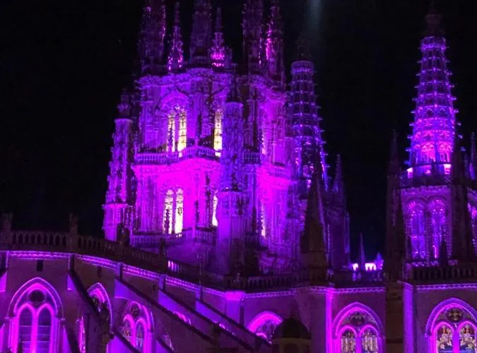 Mirada A La Catedral-apartamentos Catedral Apartment Burgos