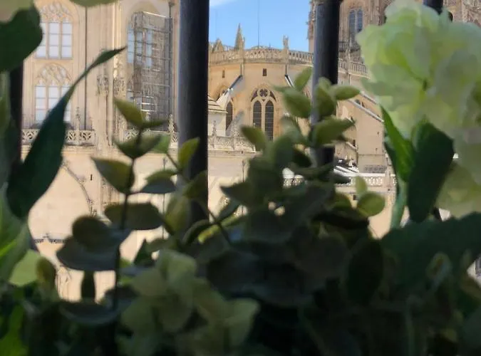 Apartment Mirada A La Catedral-apartamentos Catedral Burgos