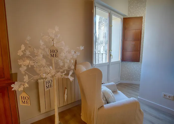 Mirada A La Catedral-apartamentos Catedral * Burgo