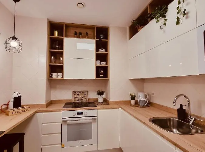 Mirada A La Catedral-apartamentos Catedral Apartment Burgos